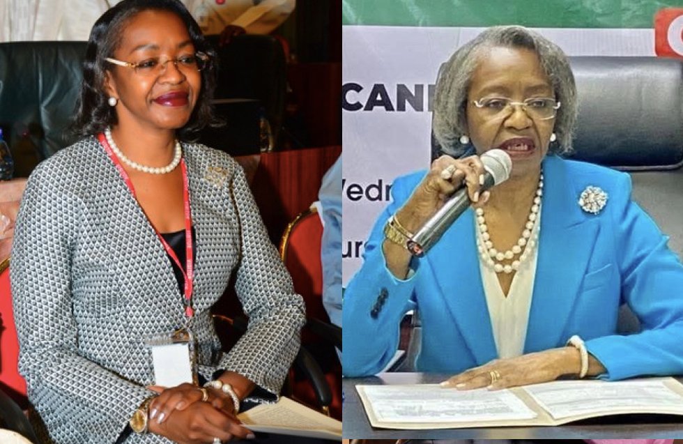 May Agbamuche-Mbu Biography: New INEC Chairman, Age, Family, Net Worth, Career, Wiki